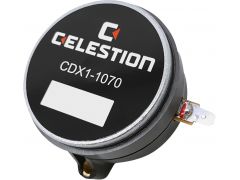G1001098A